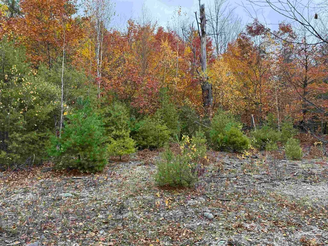 $249,900 | 1-2 Hall Road, Bristol, NH 03222