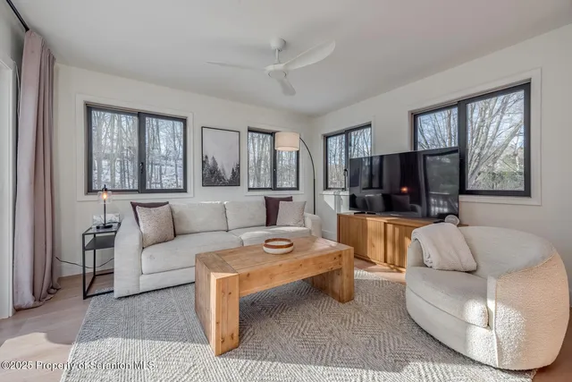 a view of a backyard with large trees