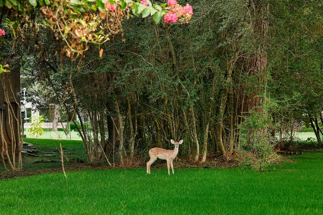 $498,700 | 3134 Lake Island Drive, Montgomery, TX 77356