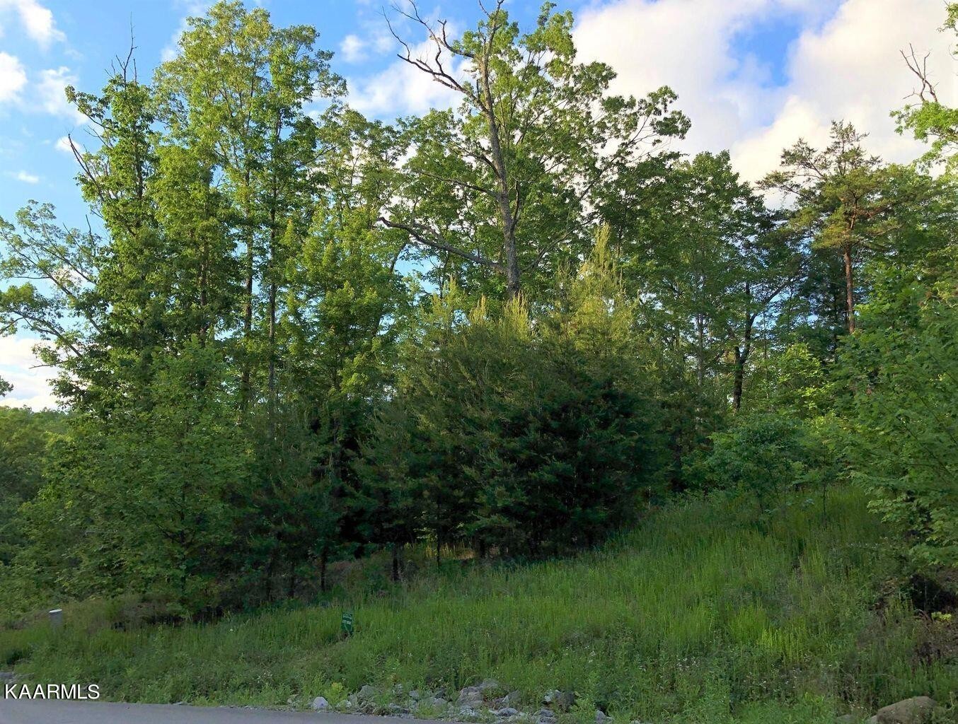 80 Long Rifle Road Sevierville, TN 37862 - Photo 5 of 16 Gallery Image 5