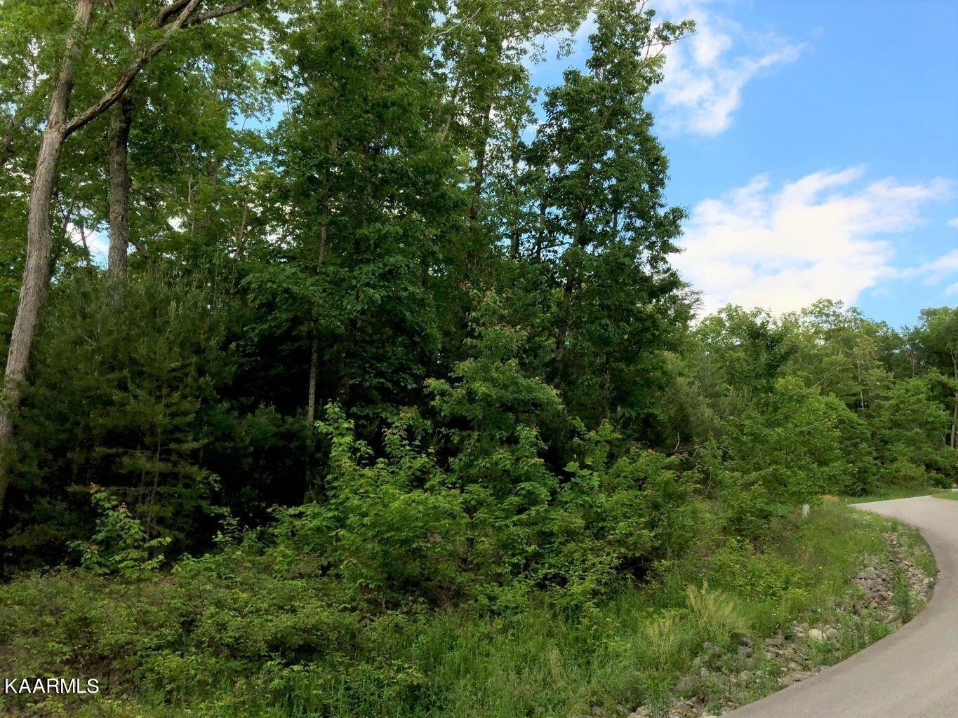 80 Long Rifle Road Sevierville, TN 37862 - Photo 7 of 16 Gallery Image 7
