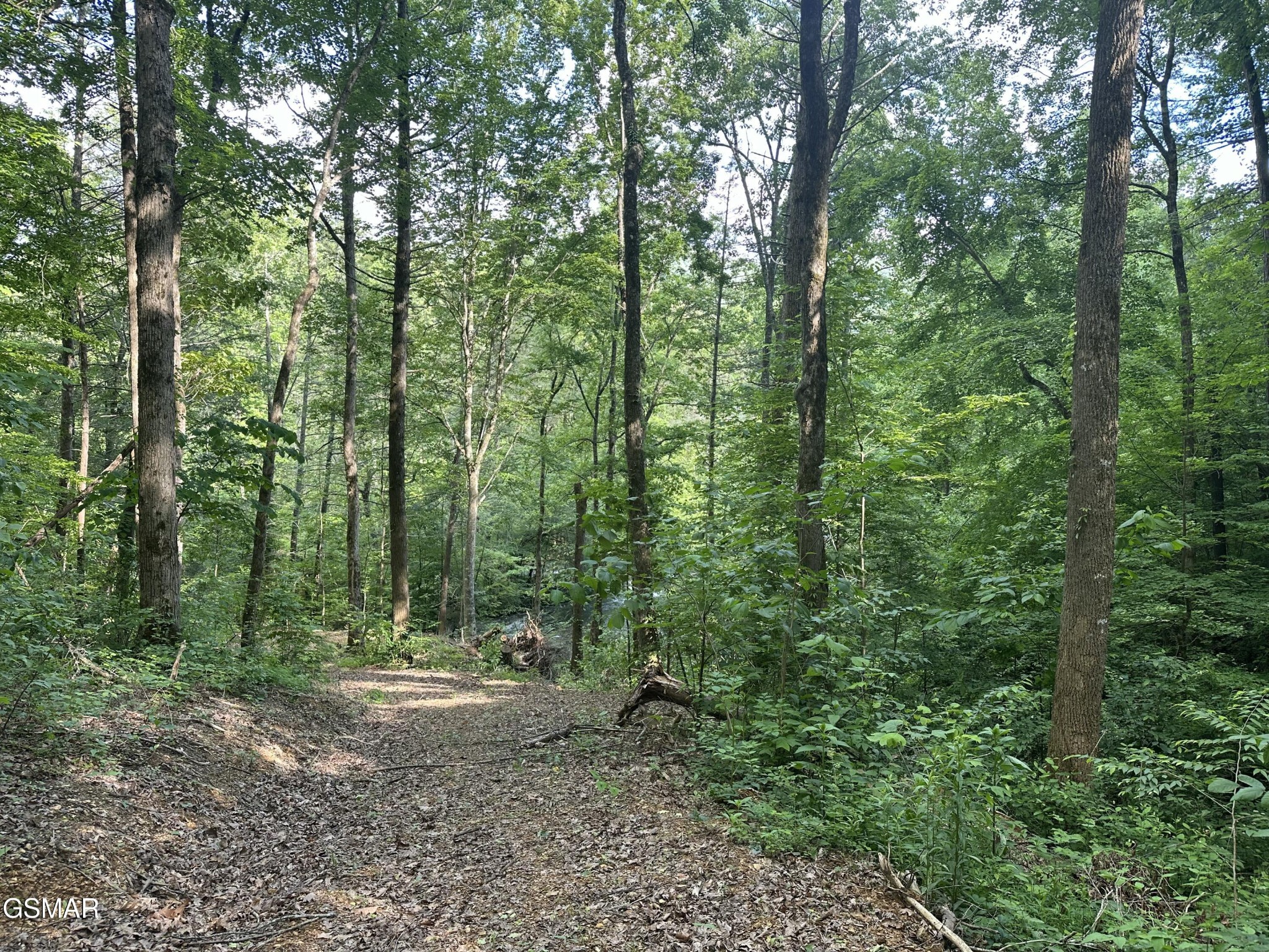 0 Little Bear Road Cosby, TN 37722 - Photo 25 of 46 Gallery Image 25