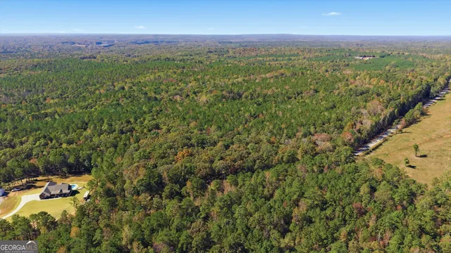 a view of a city with lush green forest