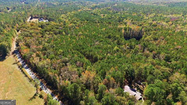 a view of a house with a lush green forest