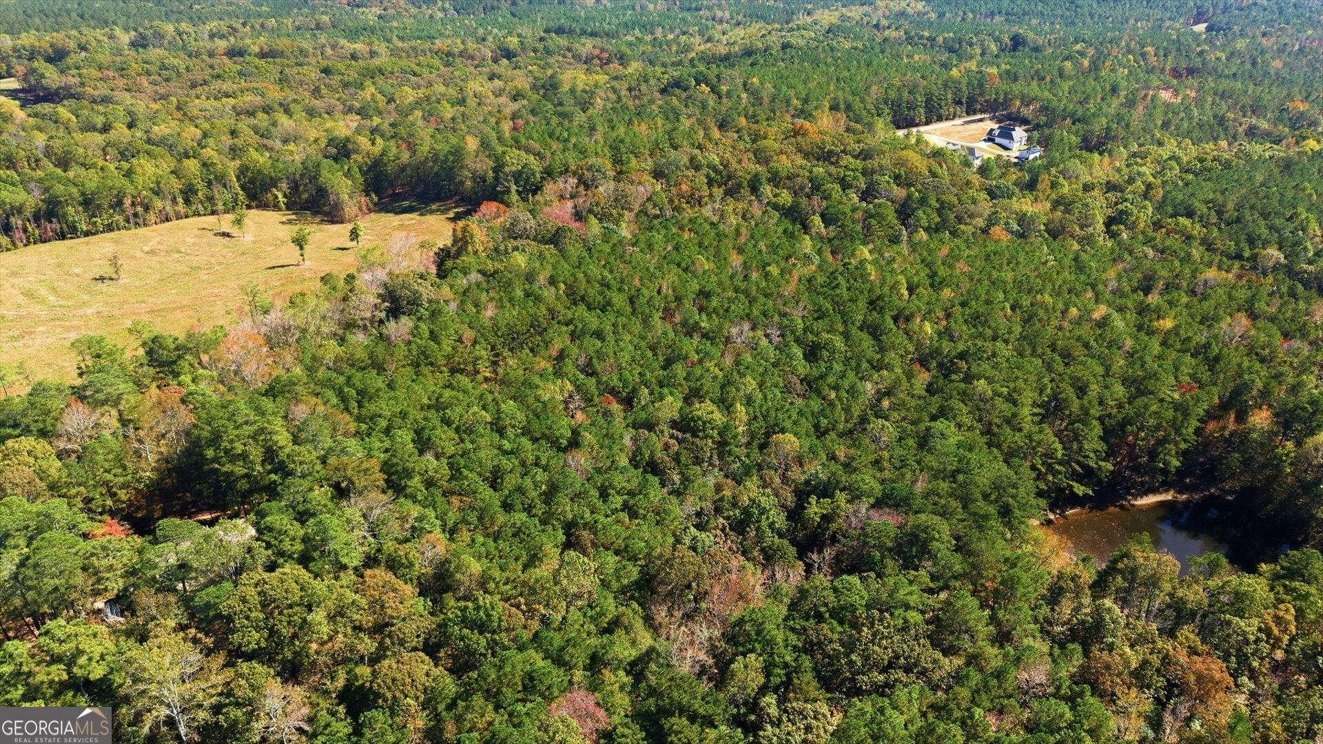 2116 Jones Mill Road Whitesburg, GA 30185 - Photo 8 of 9 a view of a dry yard with large trees
