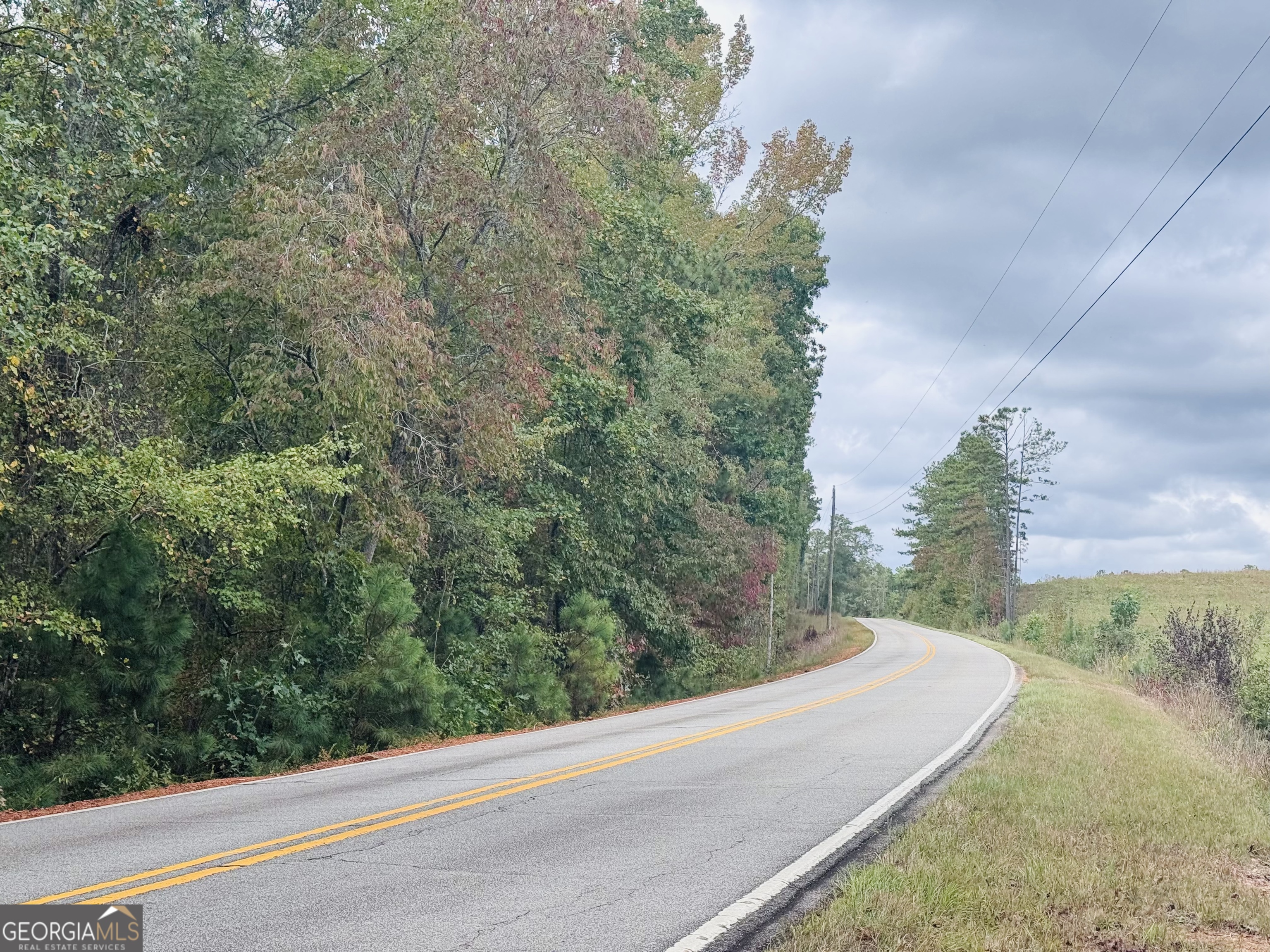 2116 Jones Mill Road Whitesburg, GA 30185 - Photo 9 of 9 a view of a yard with a street