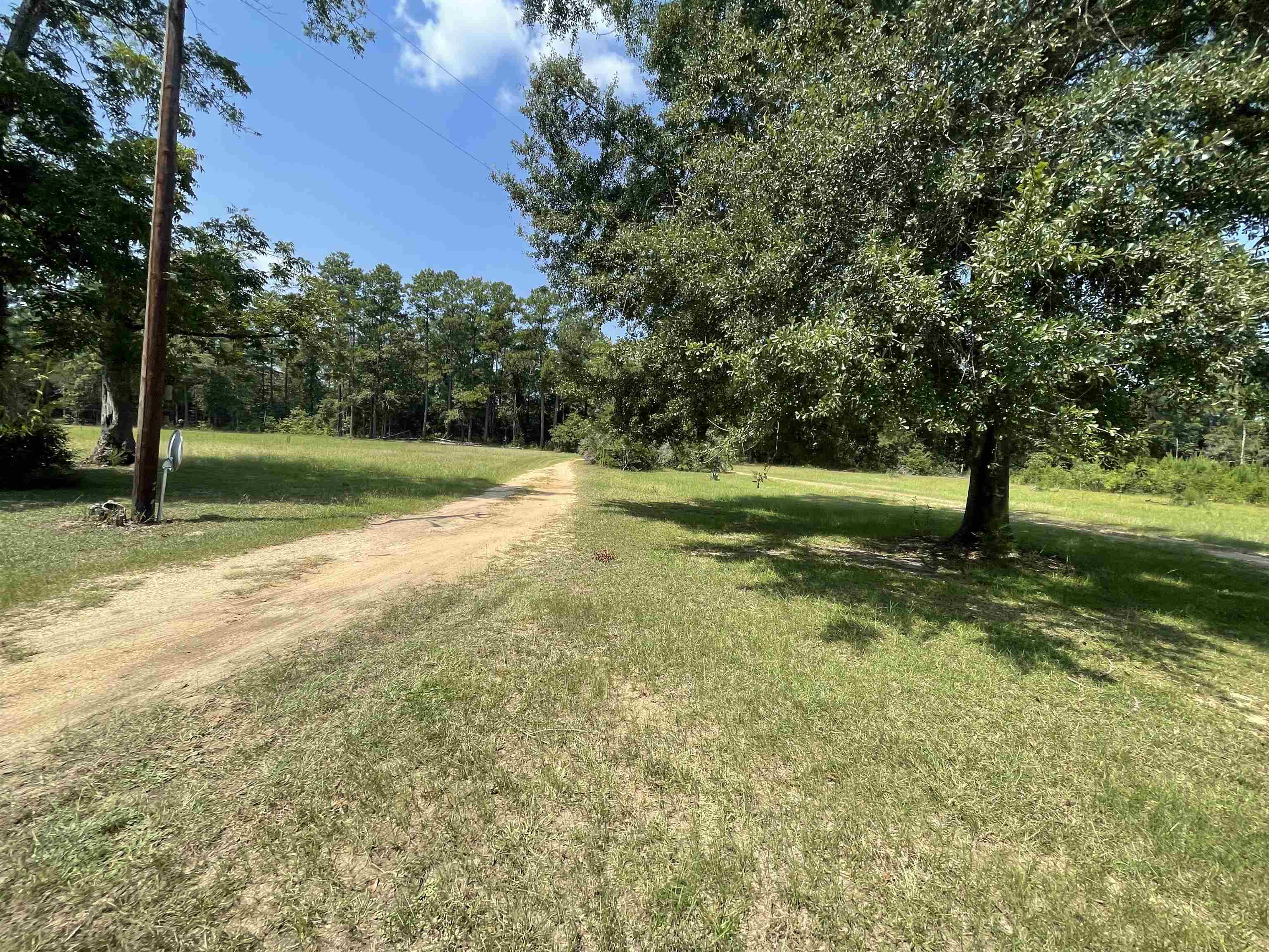 71290 Ralph Gantt Road Little River, AL 36550 - Photo 1 of 31