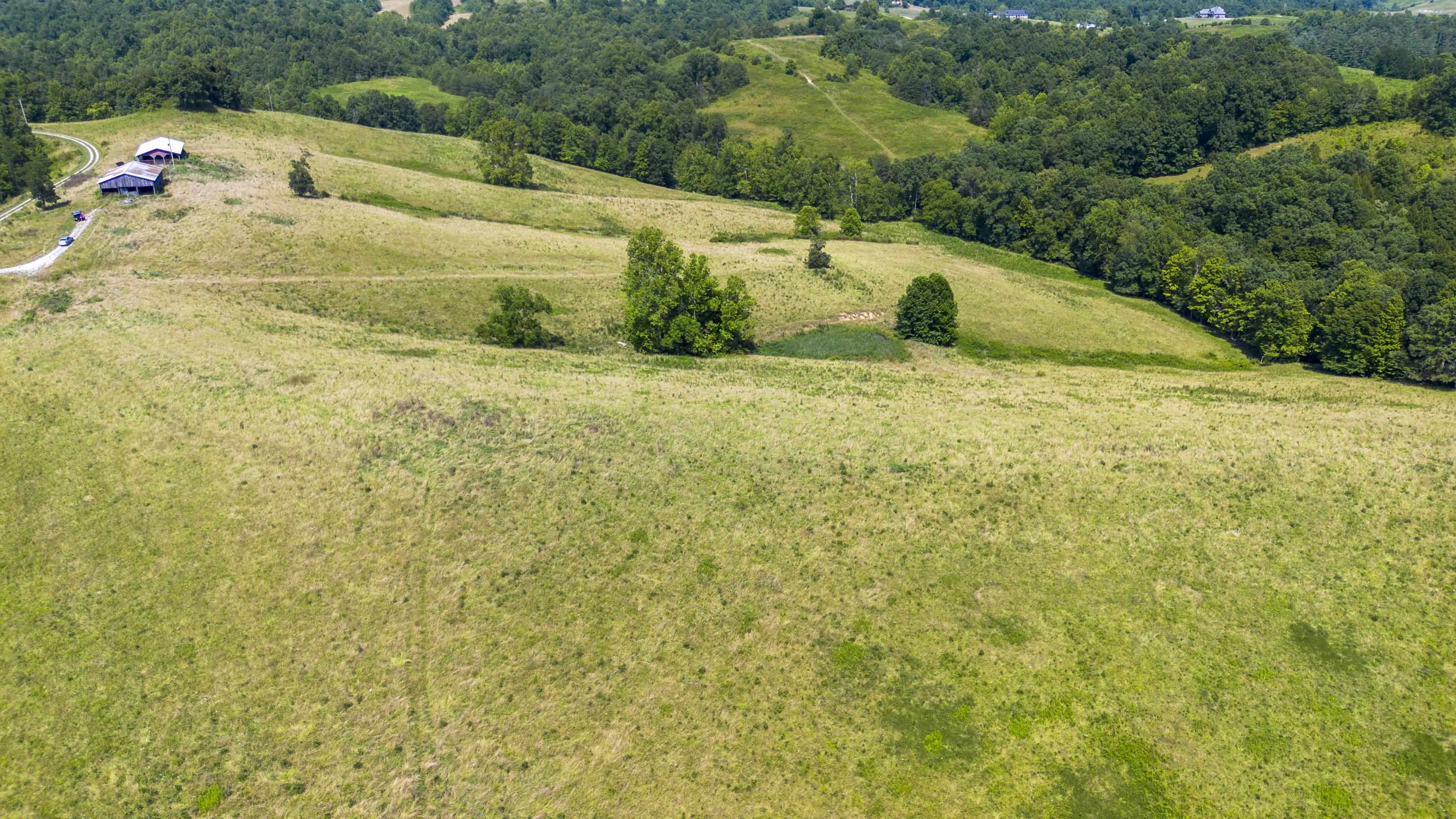 0 J Cox Road Olive Hill, KY 41164 - Photo 8 of 17