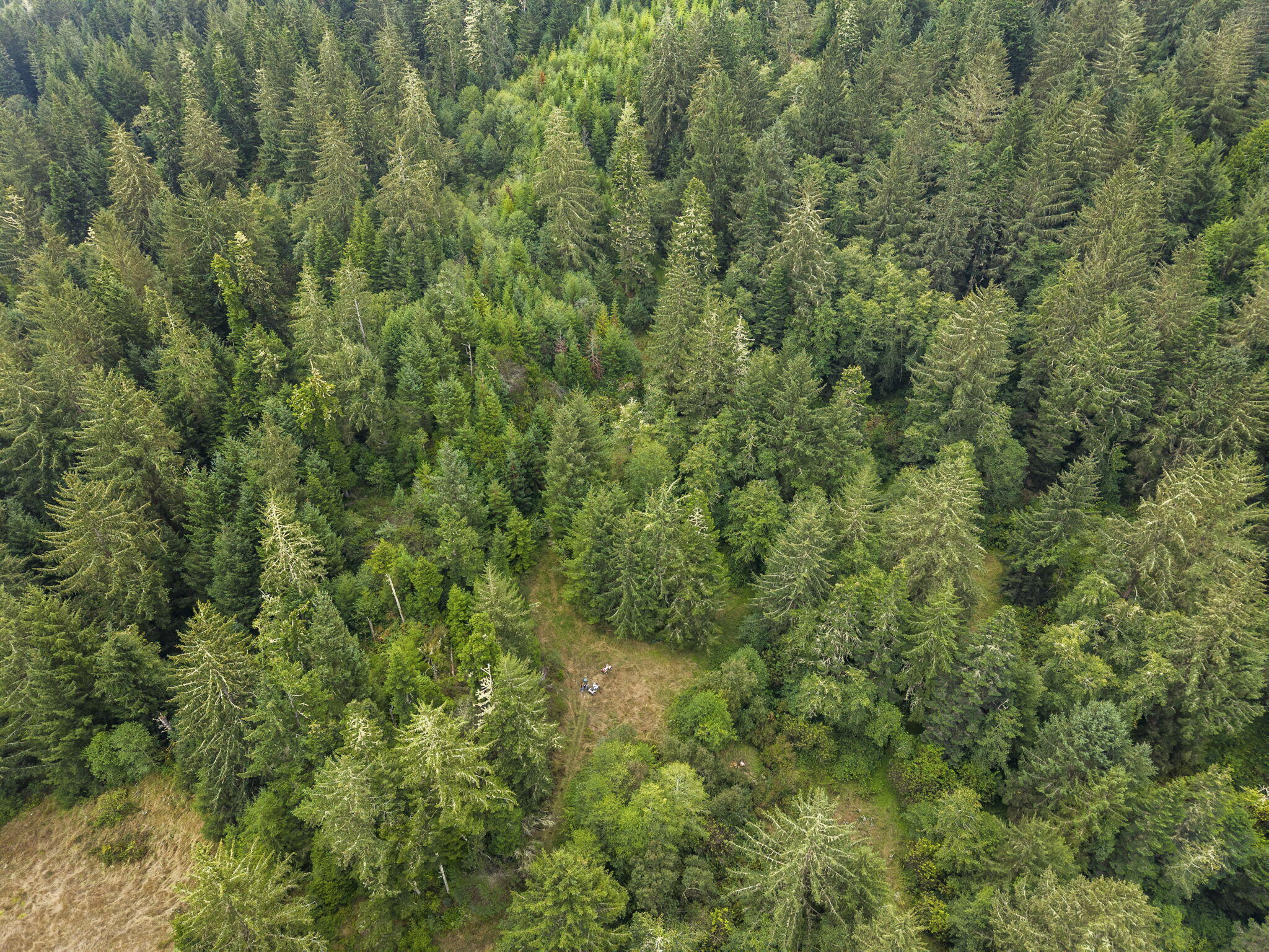0 Williams Creek Road Ferndale, CA 95536 - Photo 4 of 13