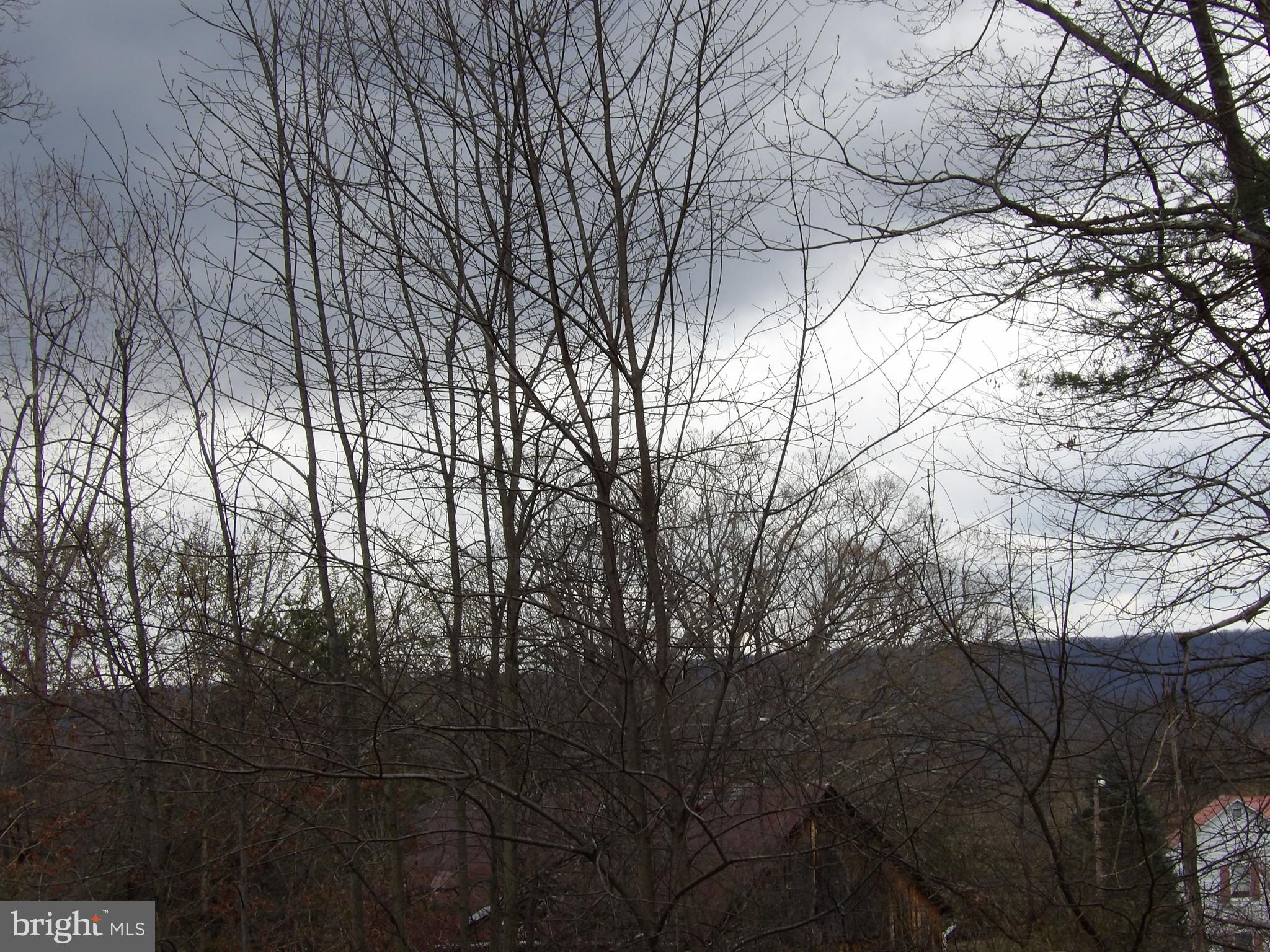 48 Roderick Lane Berkeley Springs, WV 25411 - Photo 50 of 68 View from Deck