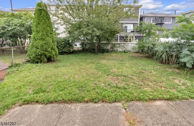a view of a yard with plants and large trees
