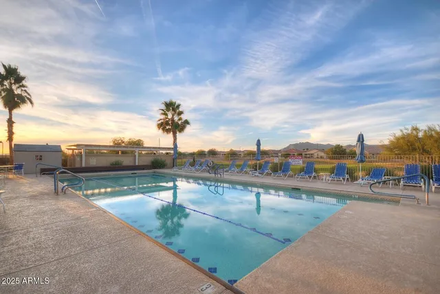 a view of a palm tree with a big yard