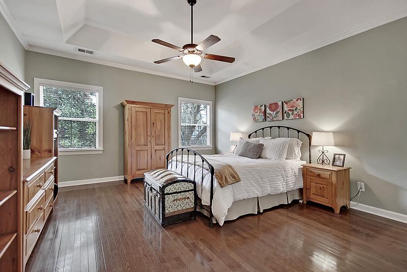 1329 Osmond Road Mount Pleasant, SC 29466 - Photo 17 of 47 Master with tray ceiling
