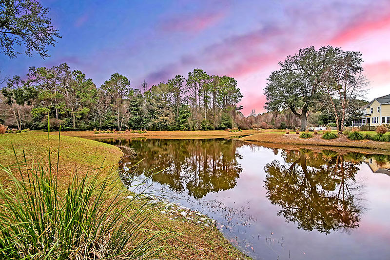1329 Osmond Road Mount Pleasant, SC 29466 - Photo 32 of 47 Pond behind the house