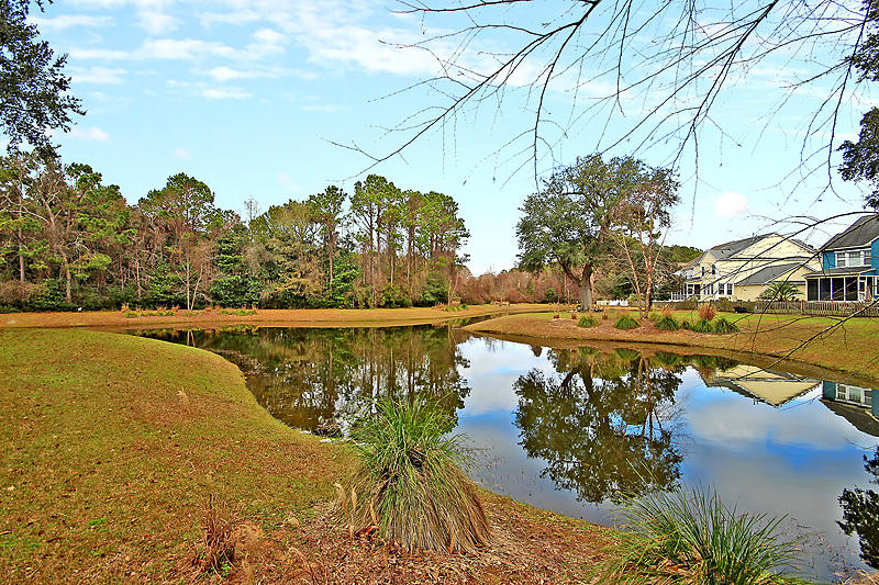 1329 Osmond Road Mount Pleasant, SC 29466 - Photo 37 of 47 Pond behind the house