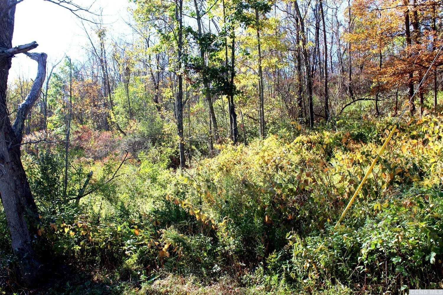 0 Saybrook Valley Road Medusa, NY 12460 - Photo 1 of 5 Photo 1