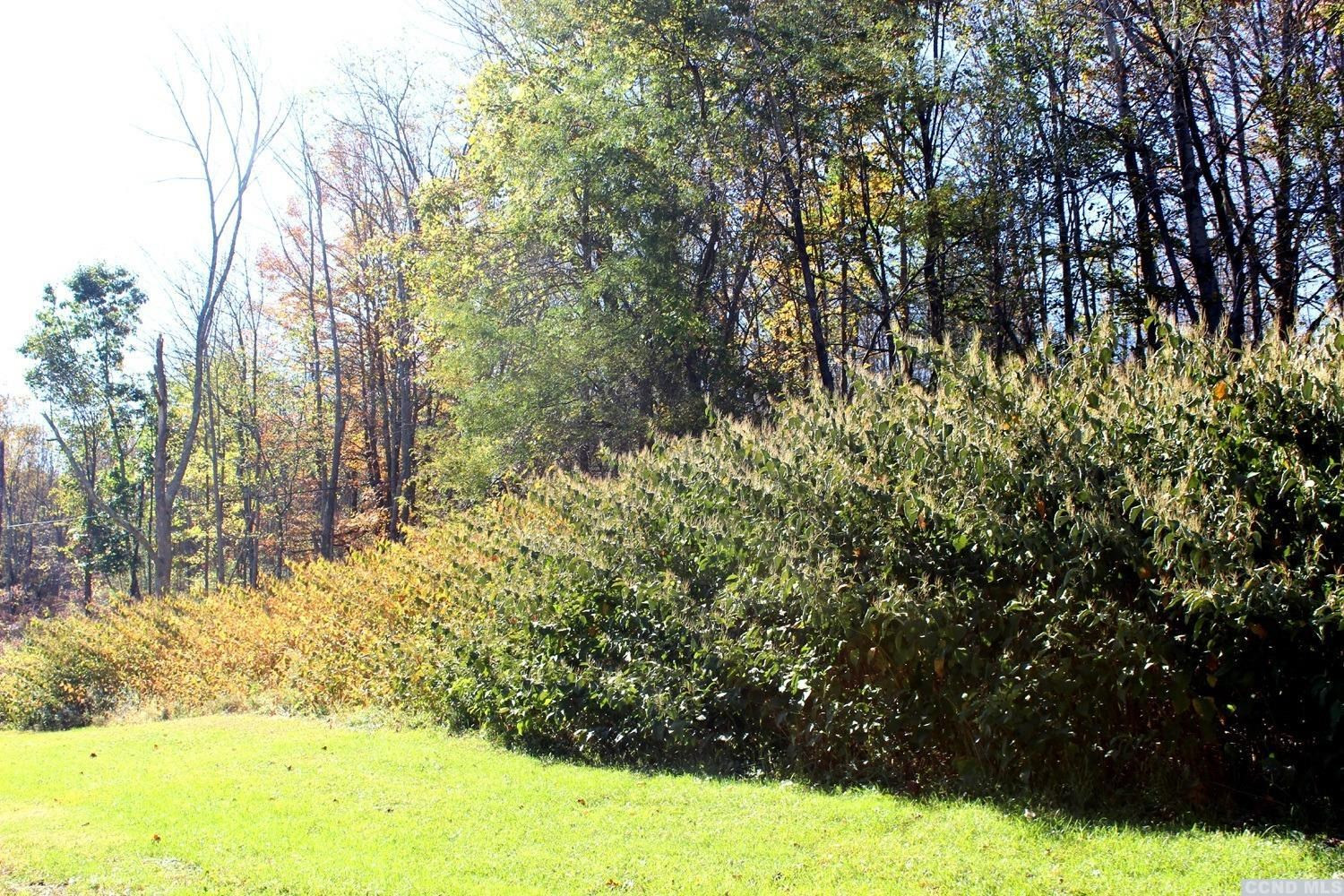 0 Saybrook Valley Road Medusa, NY 12460 - Photo 2 of 5 Photo 2