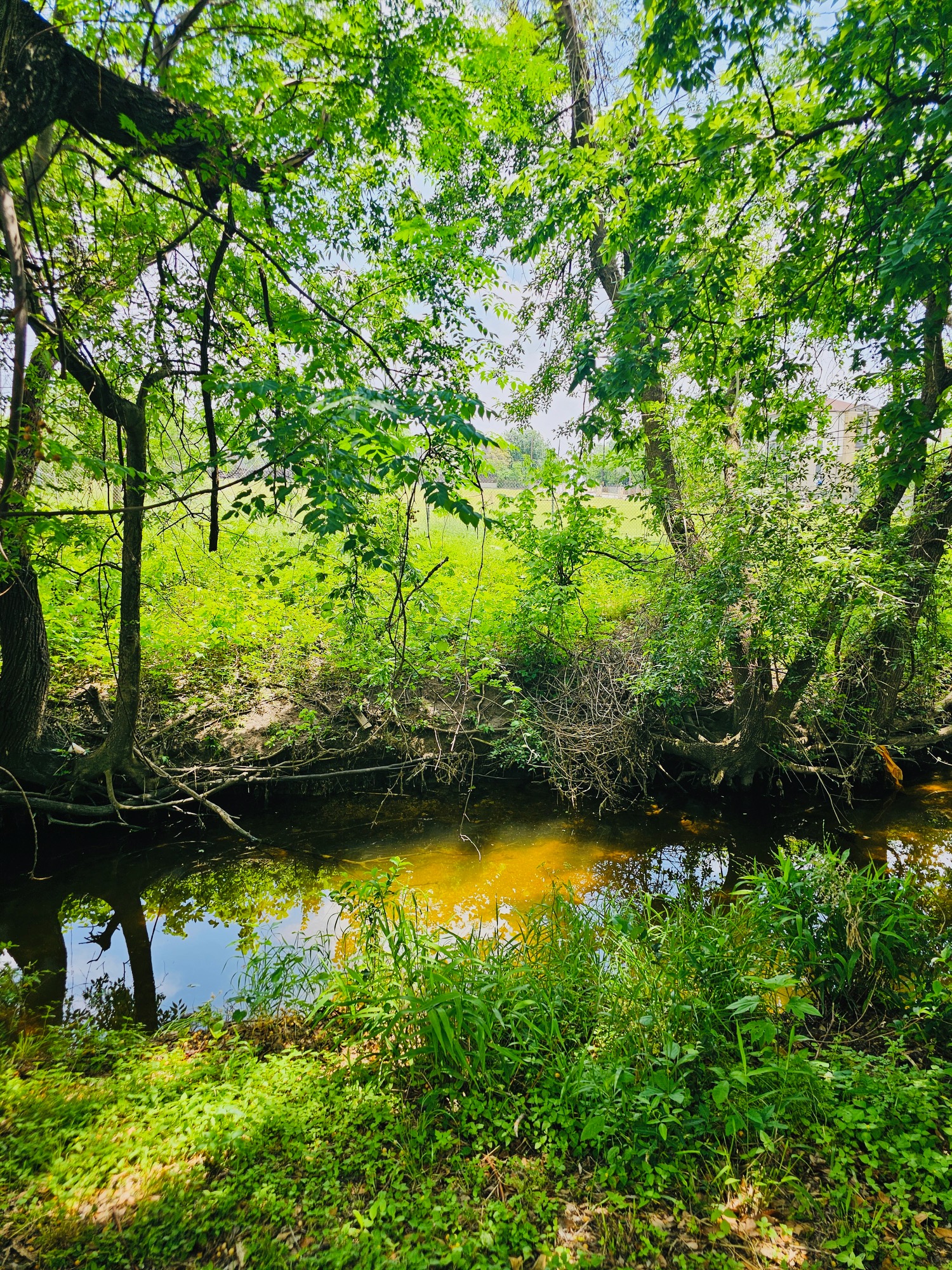 5107 Leralynn Street, Unit 304 Austin, TX 78751 - Photo 13 of 28 a view of swimming pool from a yard