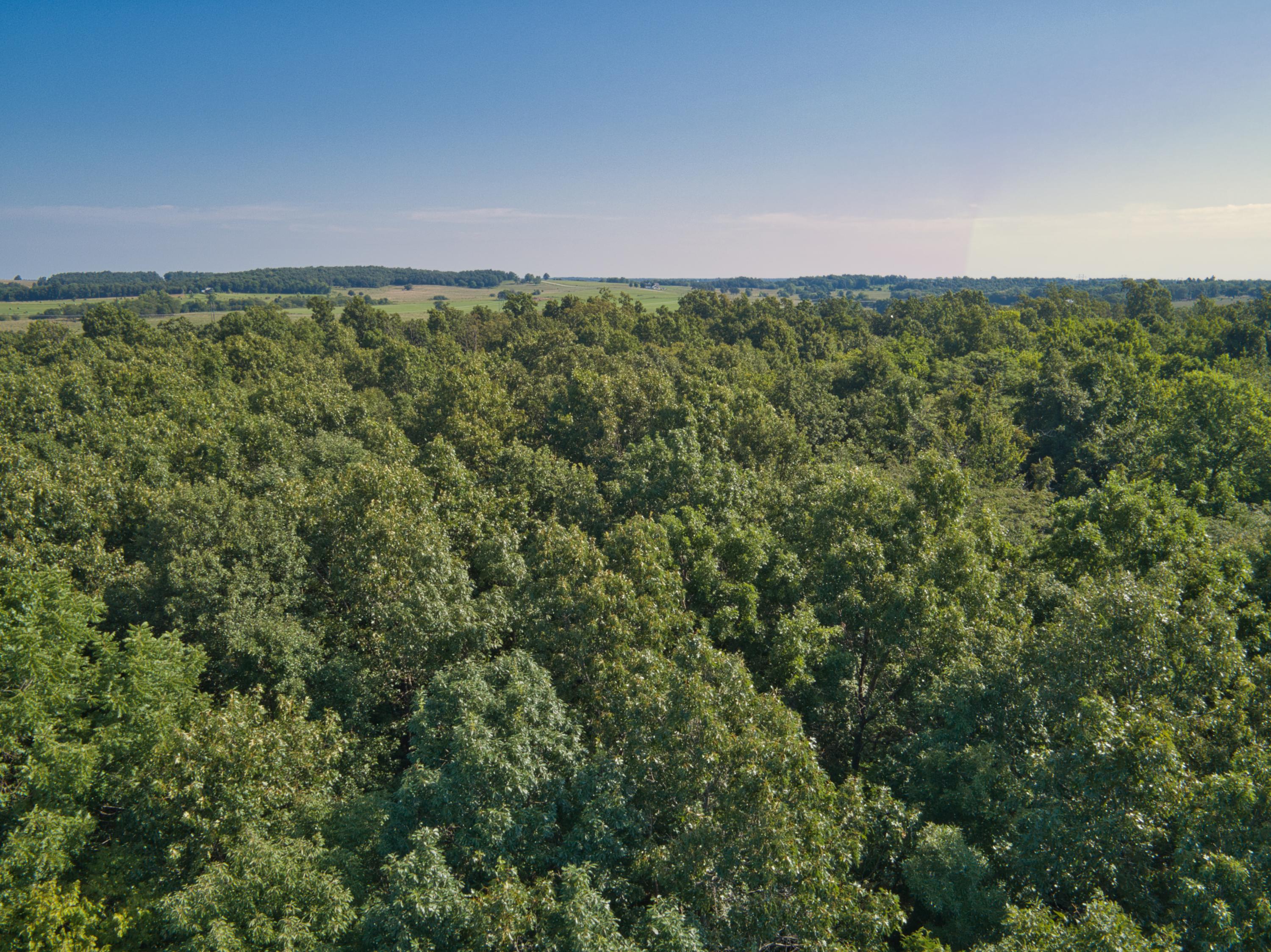 0 East 517th Road Half Way, MO 65663 - Photo 7 of 9 DJI_0026