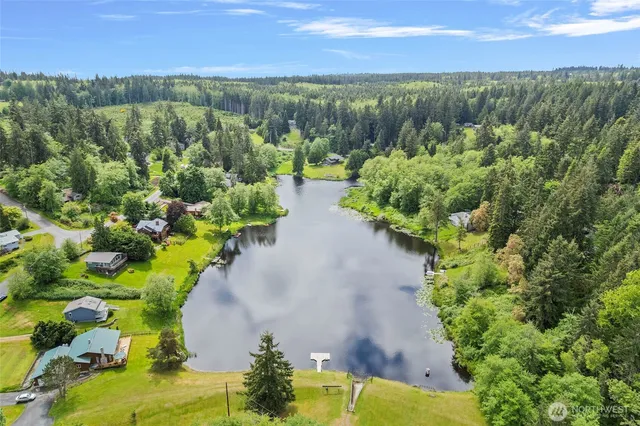 a view of a garden with mountains in the background