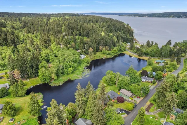 an aerial view of a yard with plants and lake view