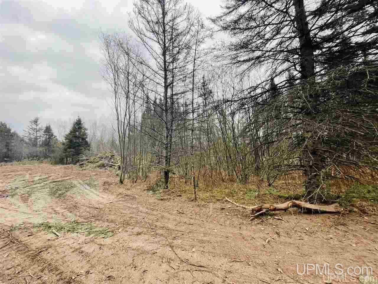 Tbd St Nicholas Road Rock, MI 49880 - Photo 20 of 22