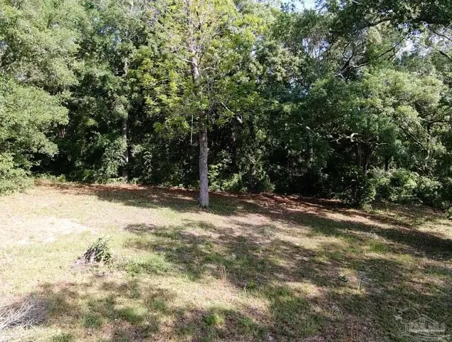 a view of a tree in front of a house