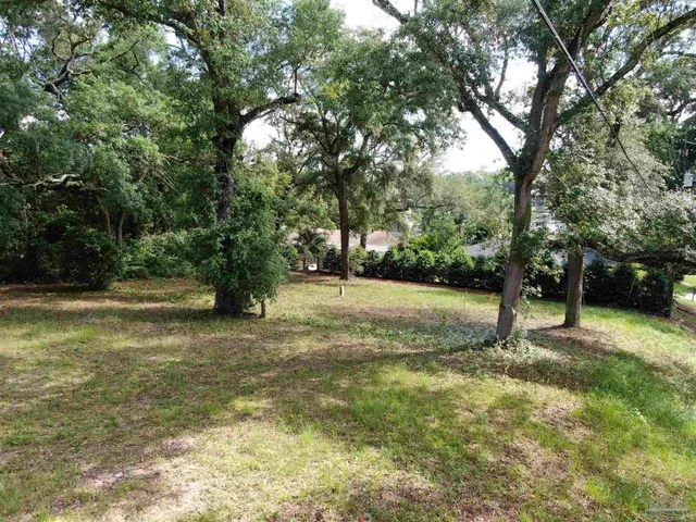 a view of yard with tree