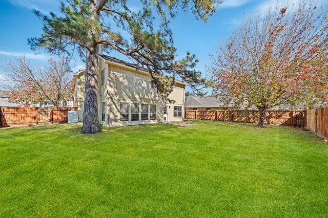 a view of a park with a tree