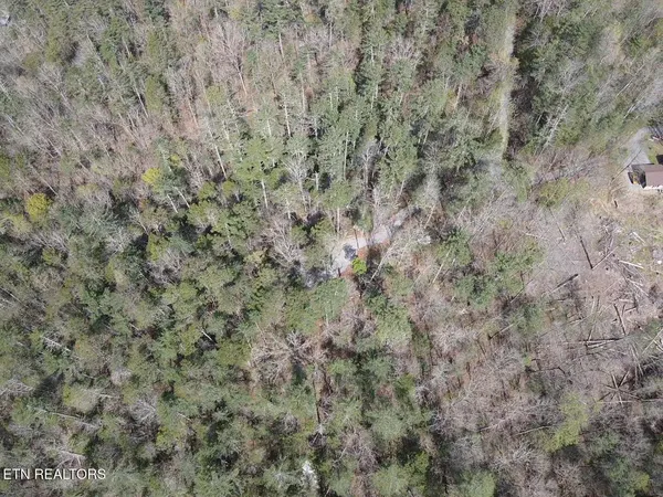 $250,000 | 1011 Carrs Creek Road, Townsend, TN 37882