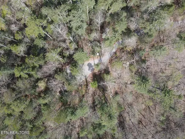 $250,000 | 1011 Carrs Creek Road, Townsend, TN 37882