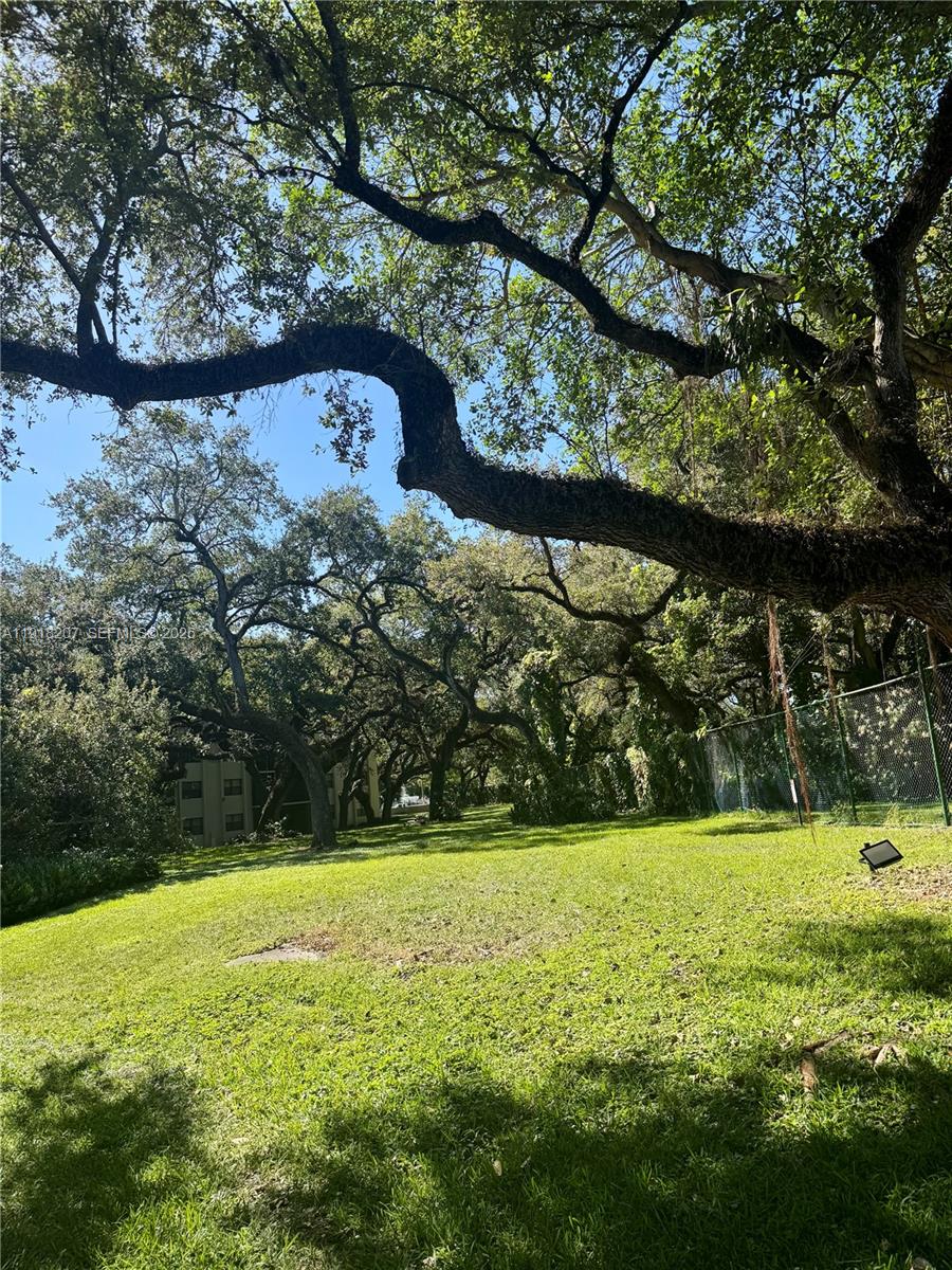 605 Ives Dairy Road, Unit 3067 Miami, FL 33179 - Photo 20 of 28 a view of a trees with a yard