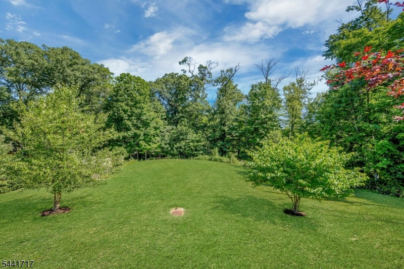 215 Mountainview Road Warren, NJ 07059 - Photo 36 of 37