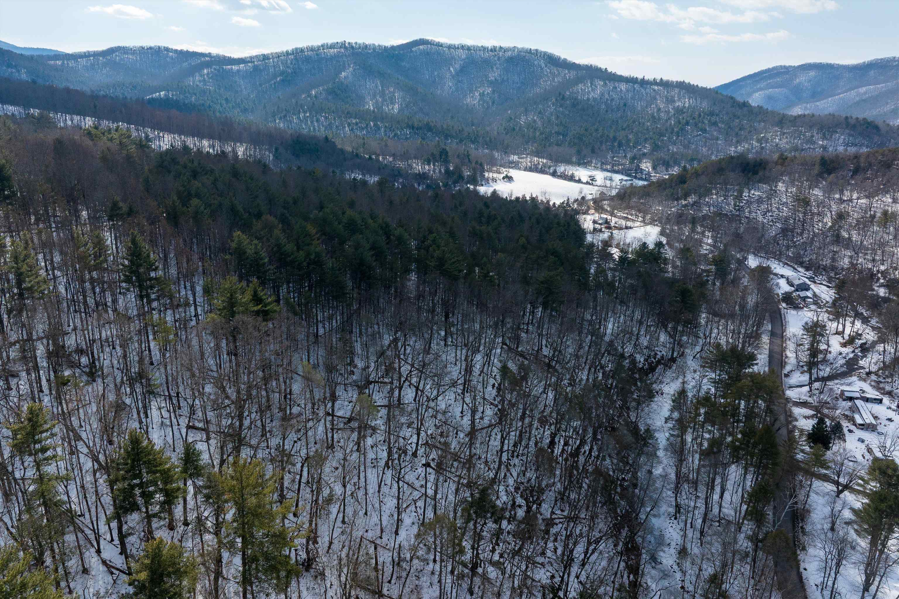 Lot 11 Overlook Mountain Road Elkton, VA 22827 - Photo 11 of 19 a view of a forest