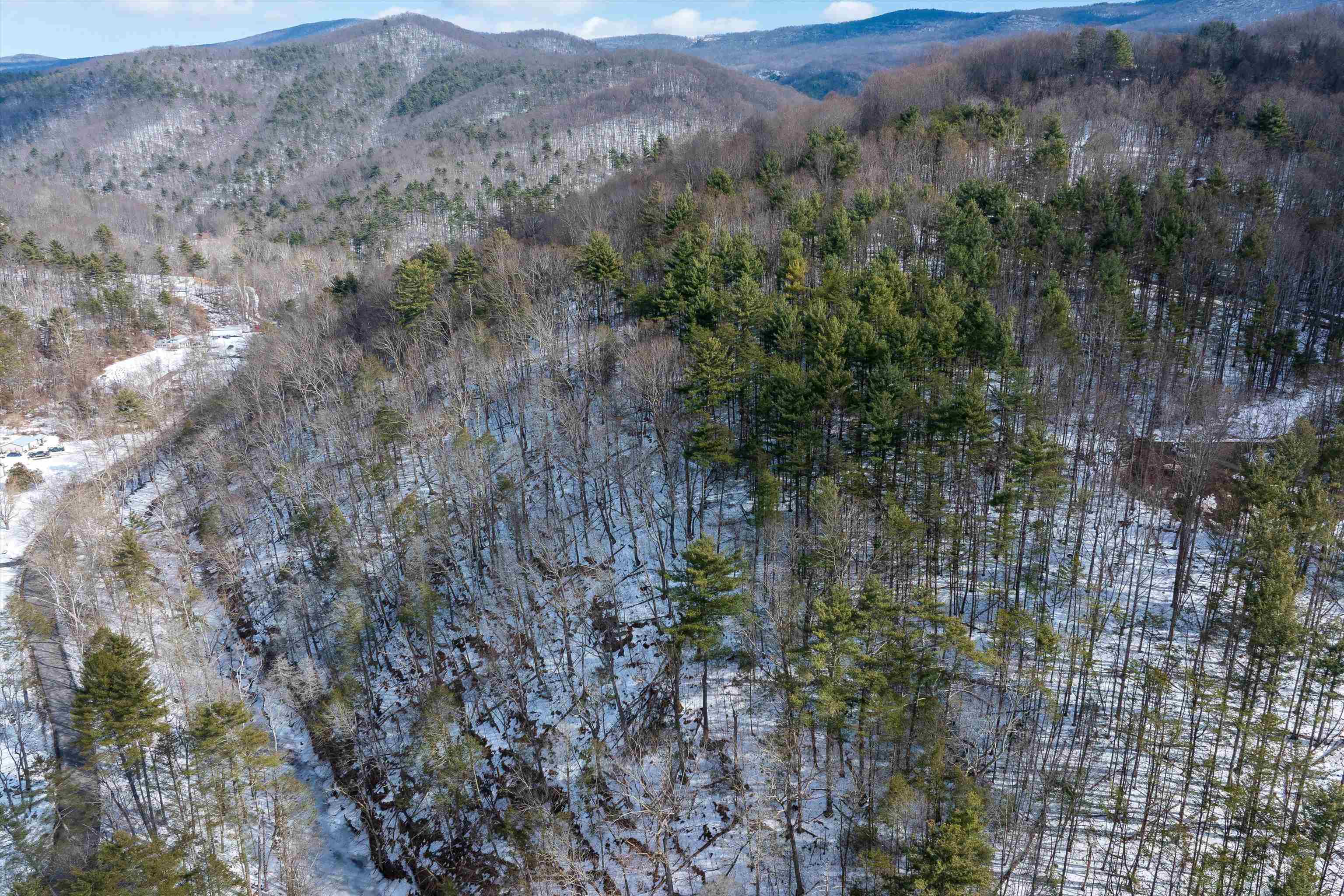 Lot 11 Overlook Mountain Road Elkton, VA 22827 - Photo 13 of 19 a view of a forest with a mountain and trees