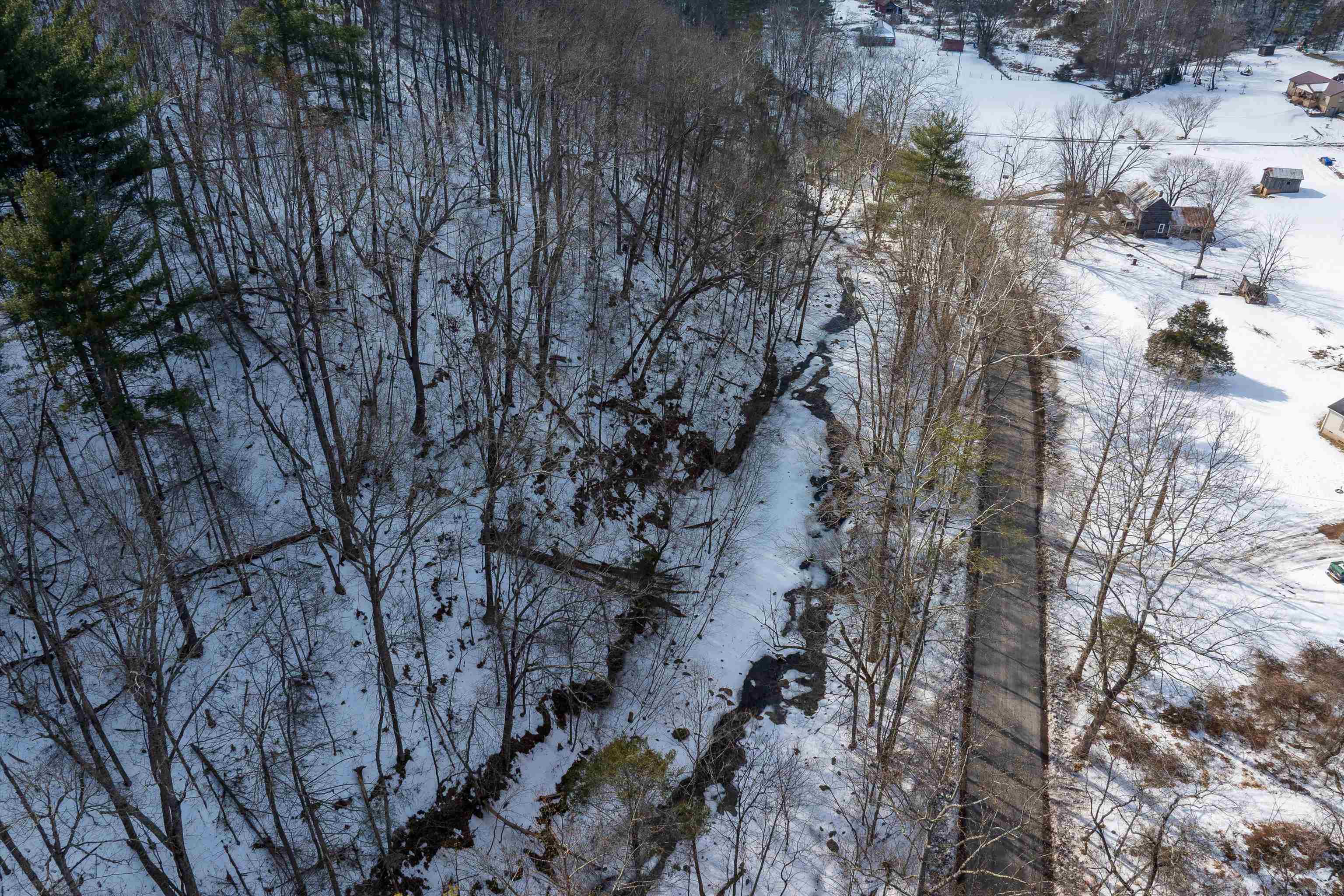 Lot 11 Overlook Mountain Road Elkton, VA 22827 - Photo 16 of 19 a view of a forest with a tree