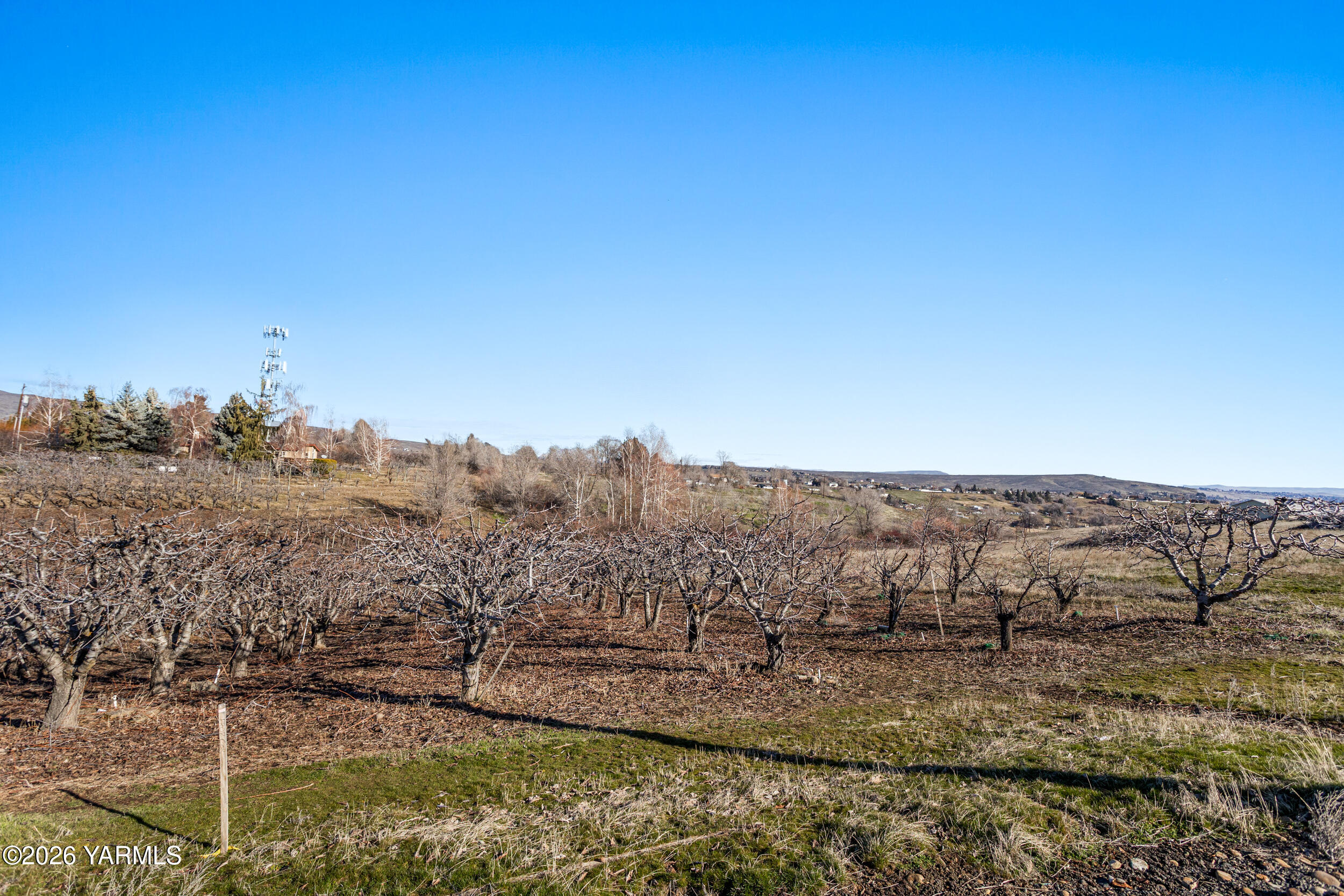 Nka Douglas Road Yakima, WA 98908 - Photo 15 of 21 DouglasLand_17