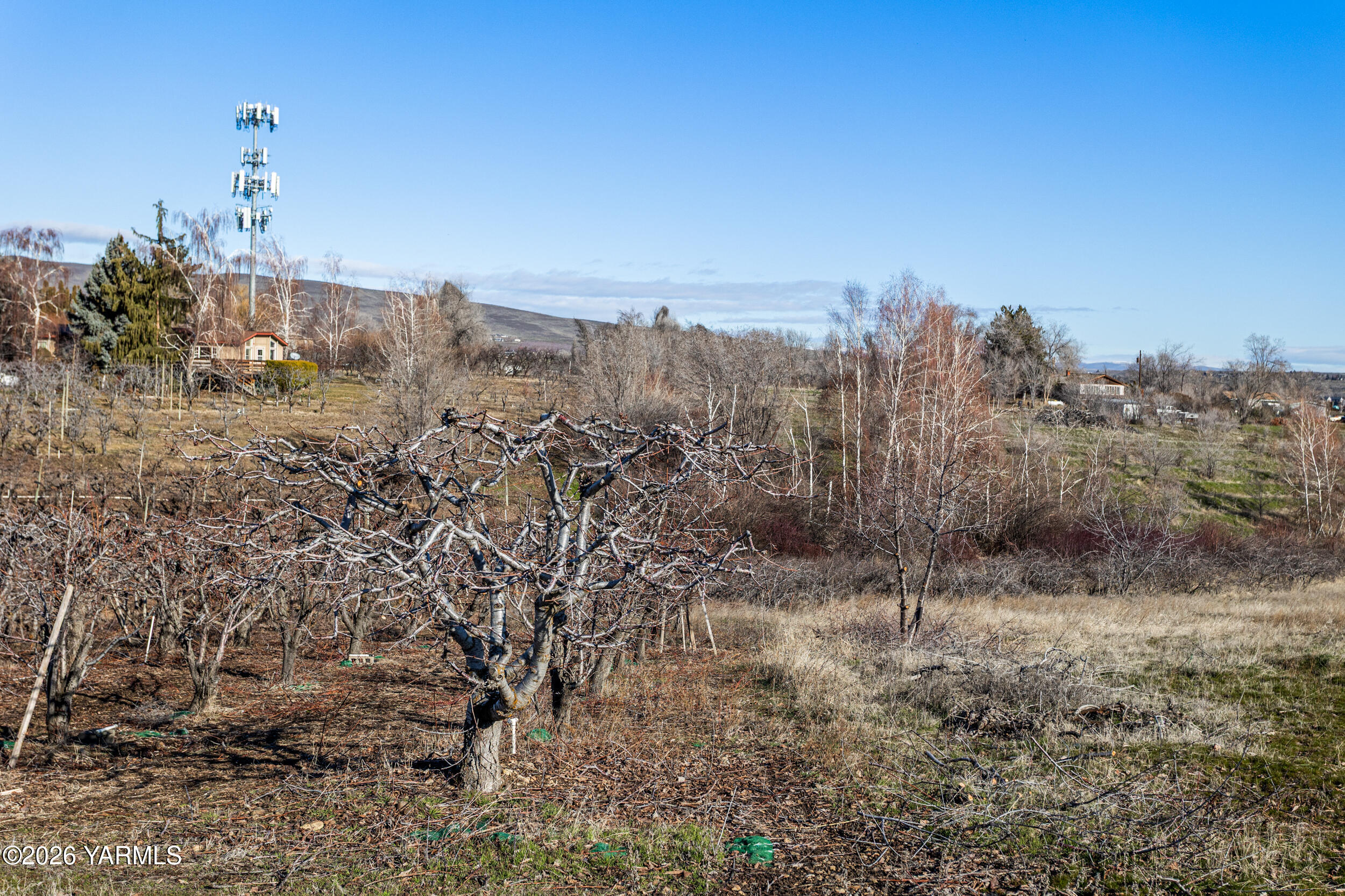 Nka Douglas Road Yakima, WA 98908 - Photo 18 of 21 DouglasLand_20