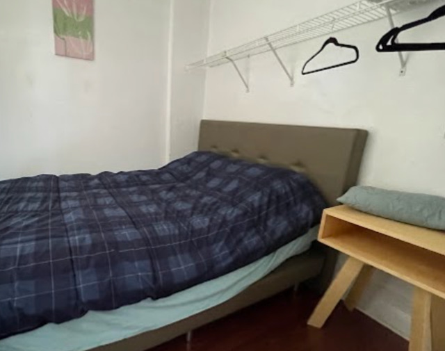 260 West 24th Street, Unit 2F Chicago, IL 60616 - Photo 5 of 6
