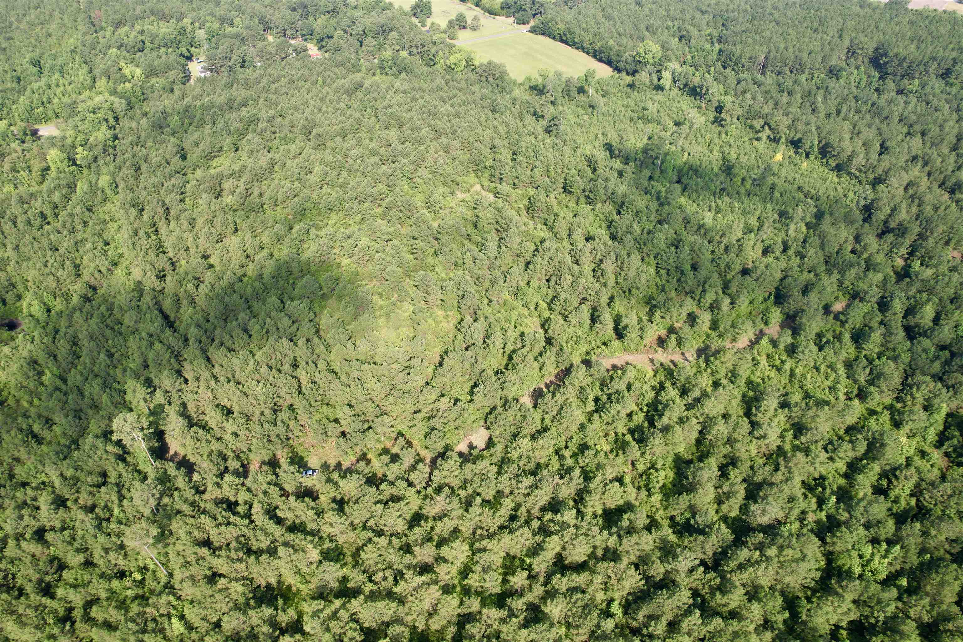 101.49-acres - Epps Road New Zion, SC 29111 - Photo 20 of 24