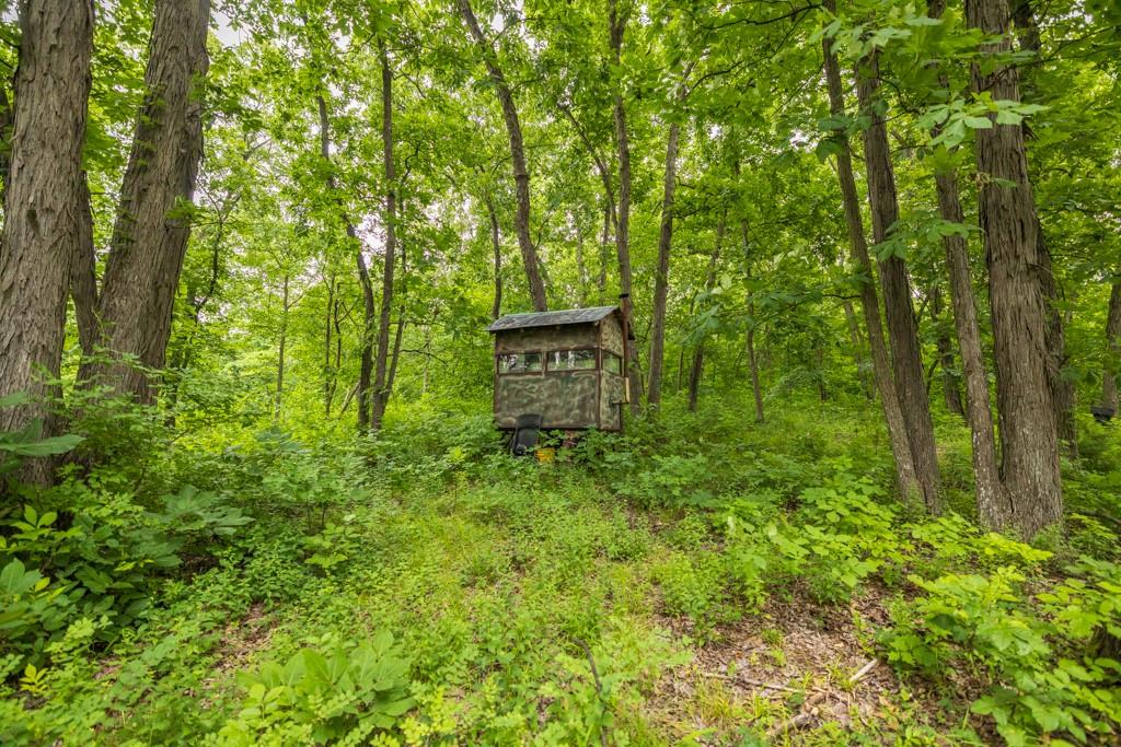 13277 Norris Road Rayville, MO 64084 - Photo 20 of 55