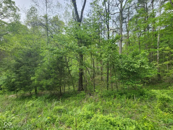$45,000 | 2921 West Cottonwood Road, Morgantown, IN 46160