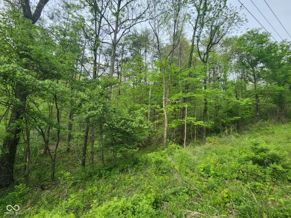 $45,000 | 2921 West Cottonwood Road, Morgantown, IN 46160