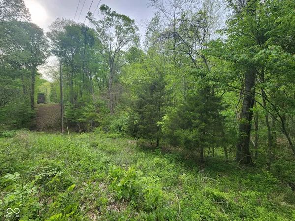 $45,000 | 2921 West Cottonwood Road, Morgantown, IN 46160