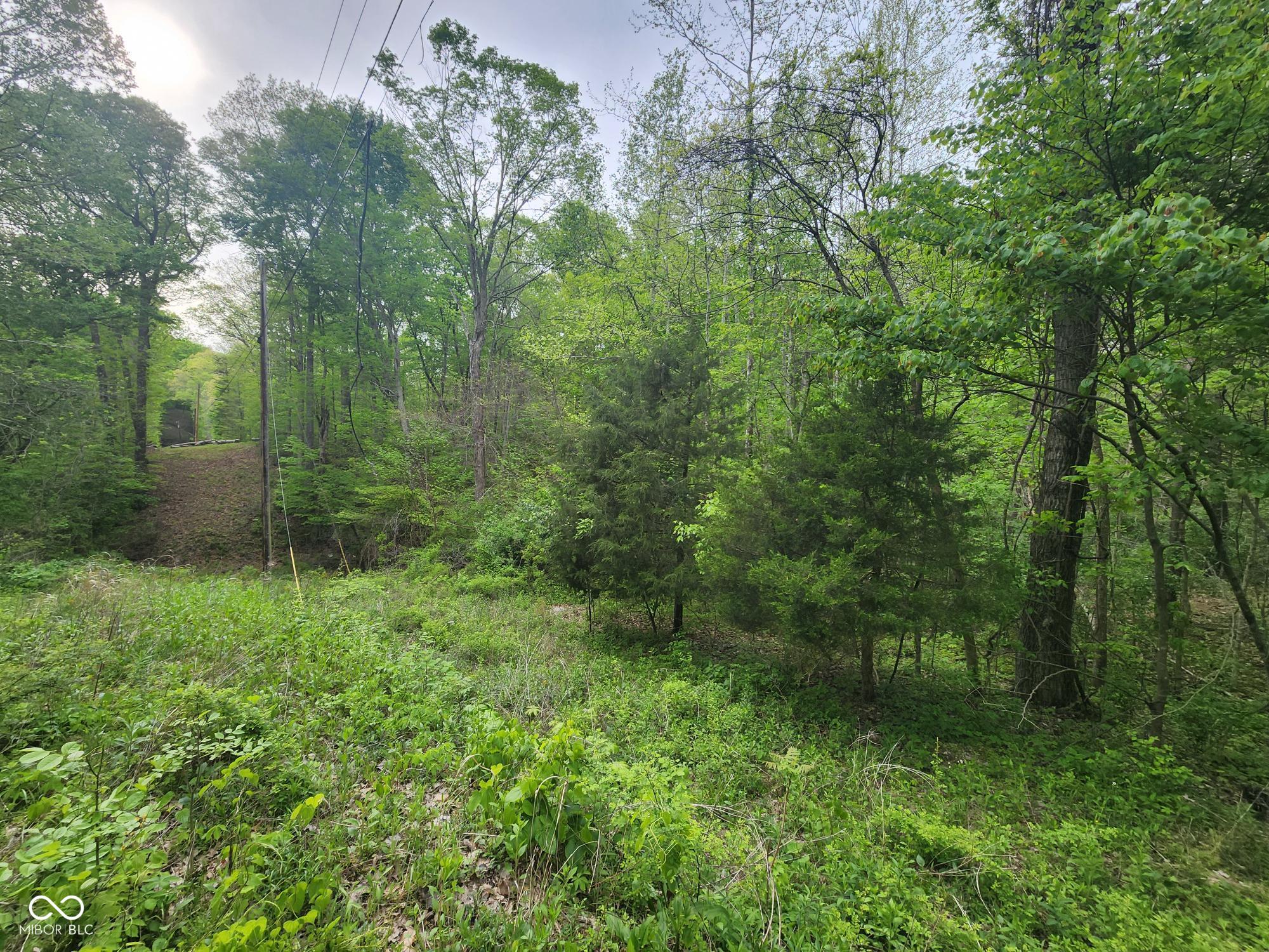 2921 West Cottonwood Road Morgantown, IN 46160 - Photo 4 of 6