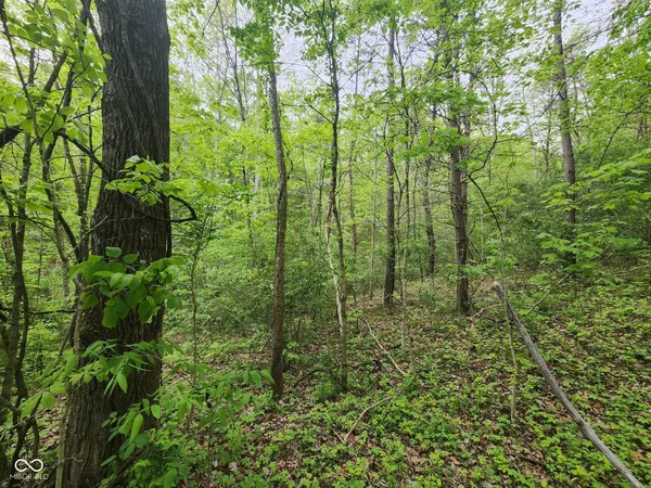 $45,000 | 2921 West Cottonwood Road, Morgantown, IN 46160