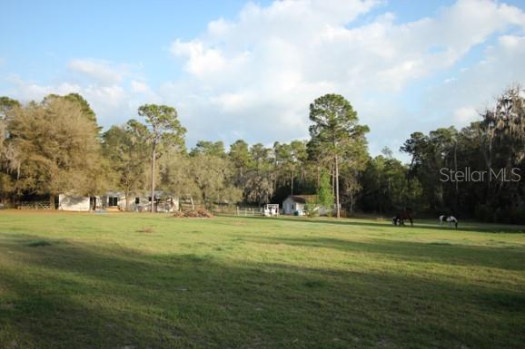 15423 Daly Road Brooksville, FL 34601 - Photo 1 of 1 View from back of property