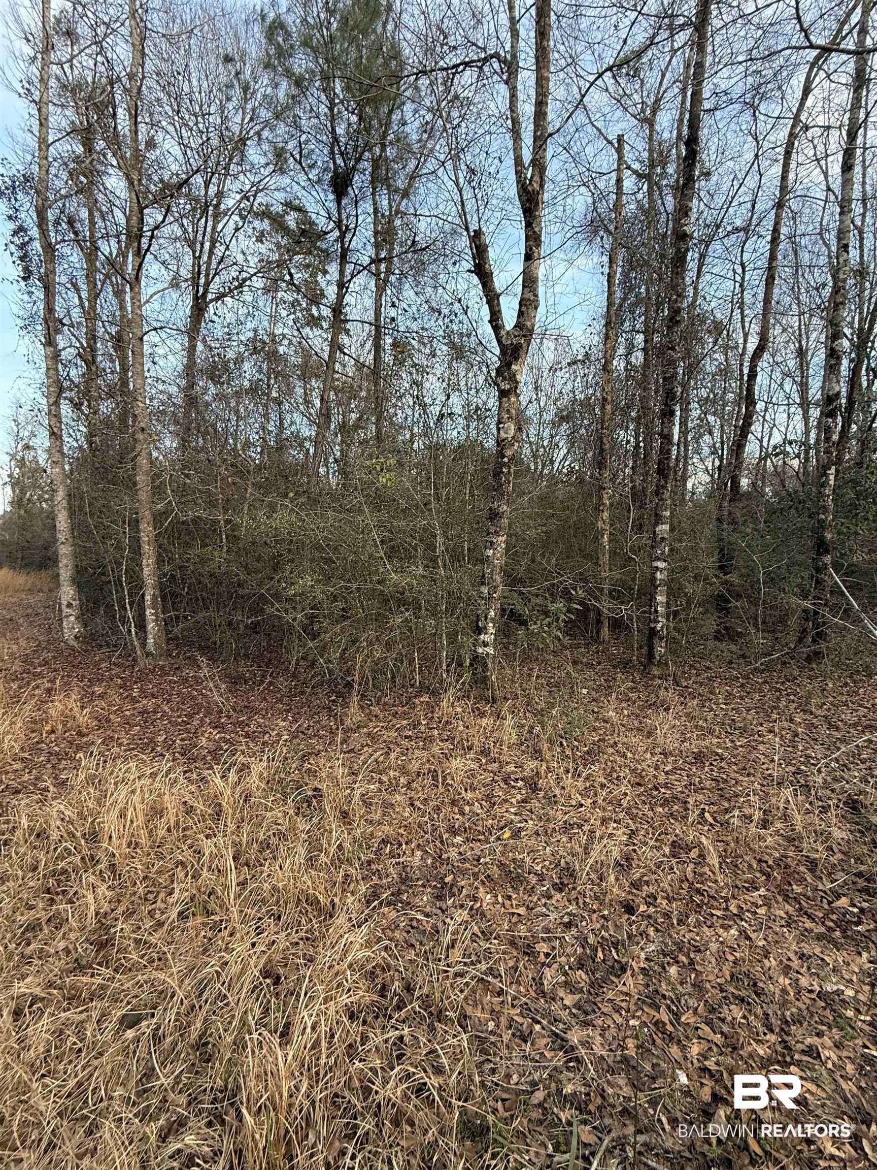 0 Harmon Williams Road Mobile, AL 36608 - Photo 5 of 12
