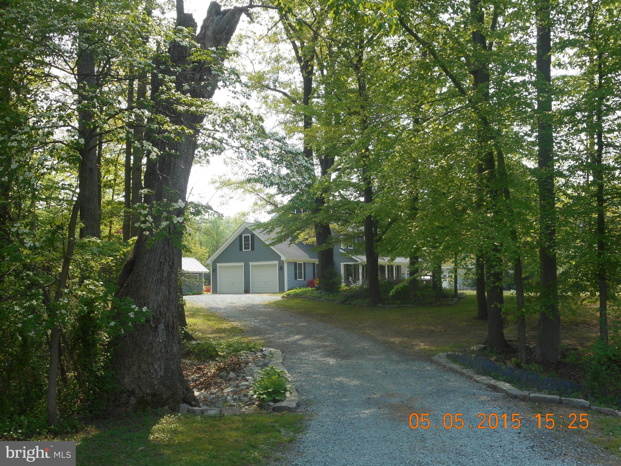 12892 Crouse Mill Road Ridgely, MD 21660 - Photo 2 of 19 Drive way