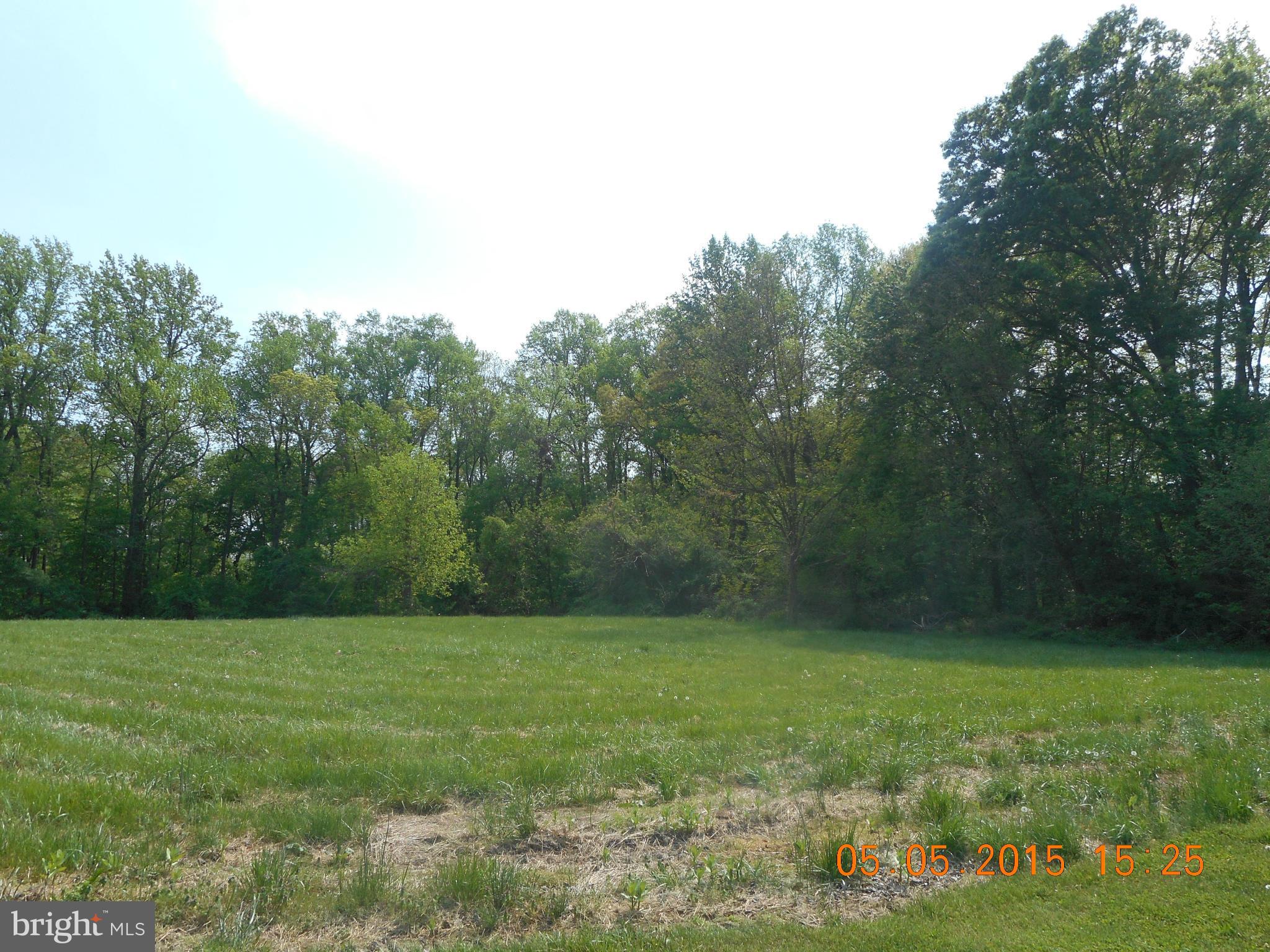 12892 Crouse Mill Road Ridgely, MD 21660 - Photo 3 of 19 open views